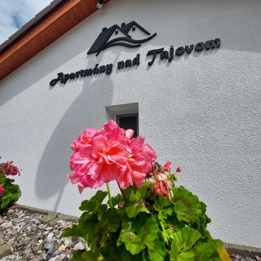 Apartmany Nad Tajovom Banska Bystrica Bagian luar foto